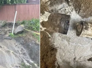 sewer-line-failure-water-backup-seattle.webp